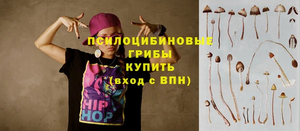 дживик Алексин