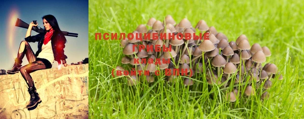 дживик Алексеевка