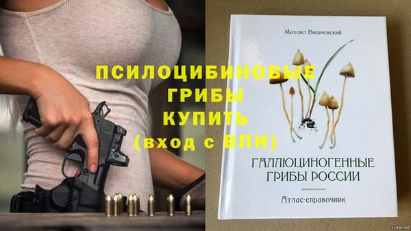 дживик Алексеевка