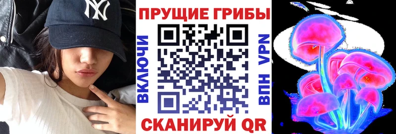 KRAKEN ONION  купить   Новая Ладога  Псилоцибиновые грибы Cubensis 