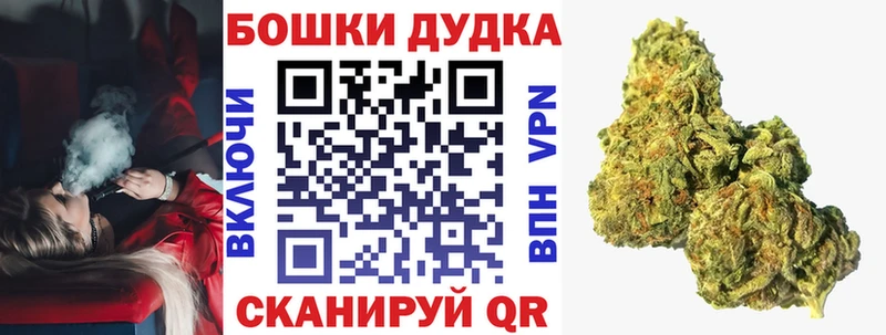 Бошки Шишки SATIVA & INDICA  цены   Новая Ладога 